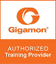 partner-gigamon