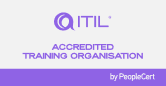 partner-itil