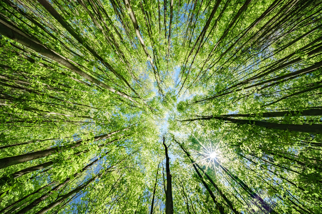 enviroment_og.jpg